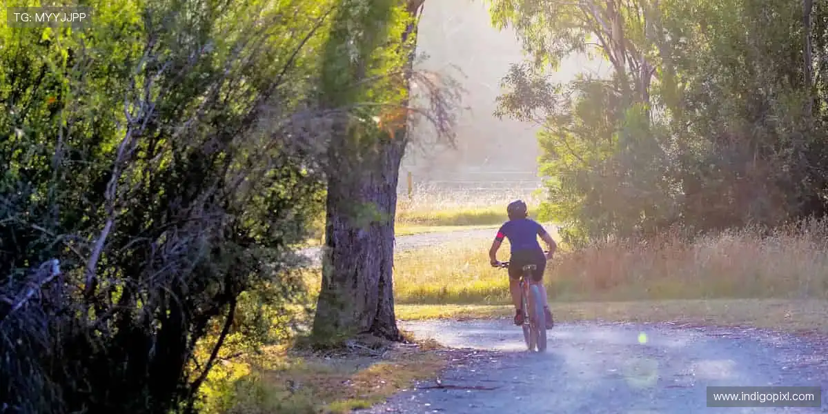 突破极限，成就自我，体育精神永不灭！🏅✨